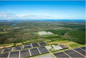 Aerial Photo Ningi QLD Aerial Photography