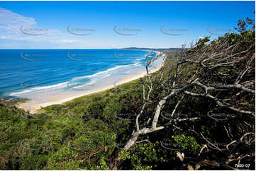 Wind Blown Tree, Tallow Beach NSW Aerial Photography