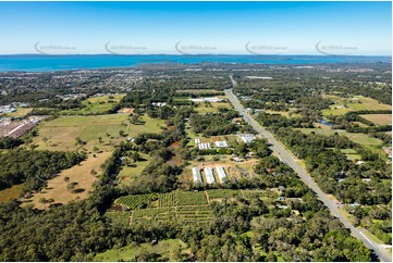 Aerial Photo Thornlands QLD Aerial Photography