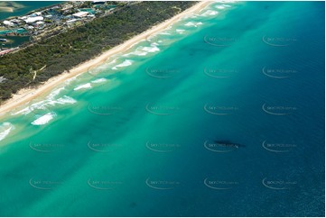 Aerial Photo Main Beach QLD Aerial Photography