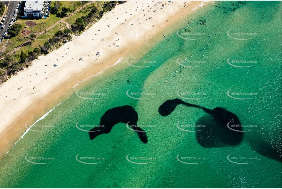 Bait Fish Ball at Byron Bay NSW Aerial Photography