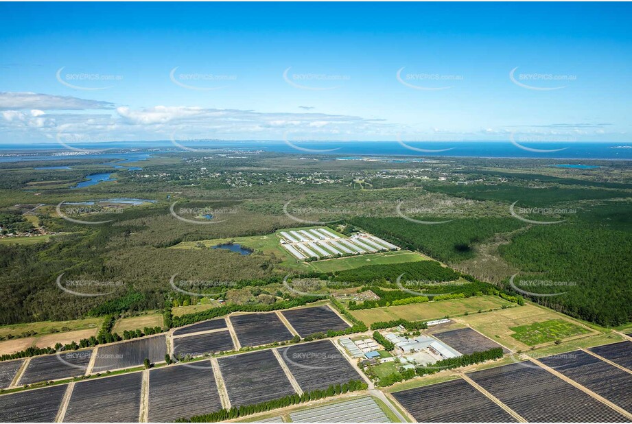 Aerial Photo Ningi QLD Aerial Photography