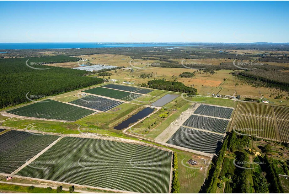 Aerial Photo Caboolture QLD Aerial Photography