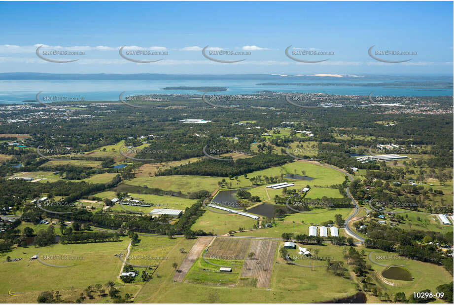 Aerial Photo Thornlands QLD Aerial Photography