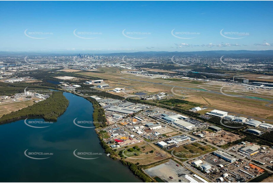 Aerial Photo Pinkenba QLD Aerial Photography