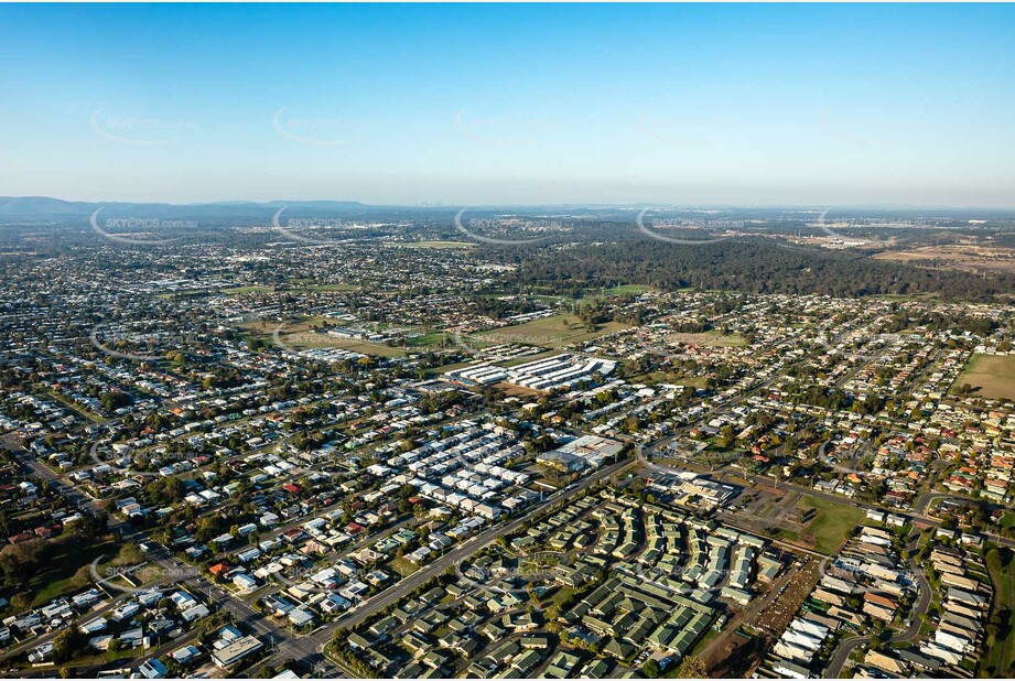 Aerial Photo Raceview QLD Aerial Photography