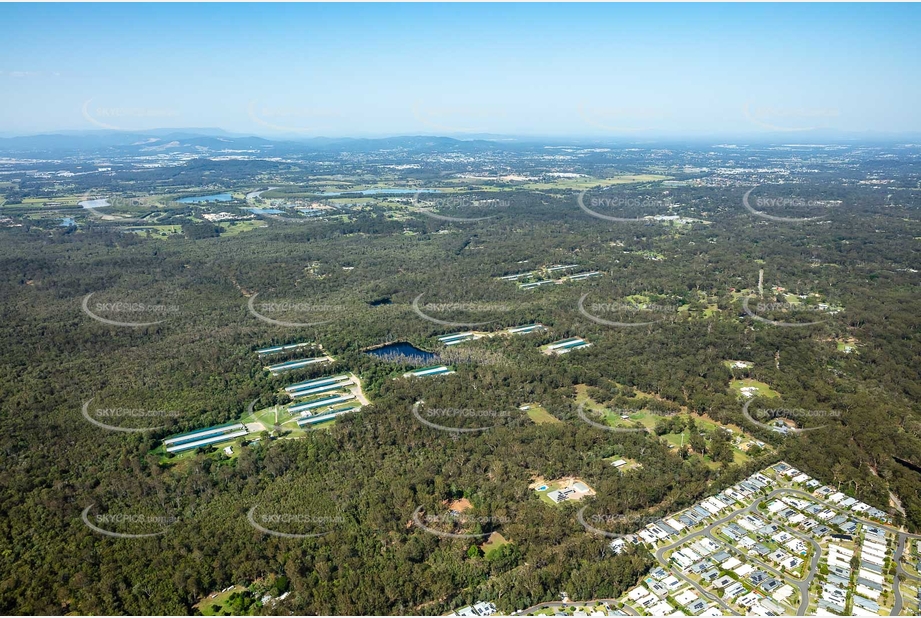 Aerial Photo Carbrook QLD Aerial Photography