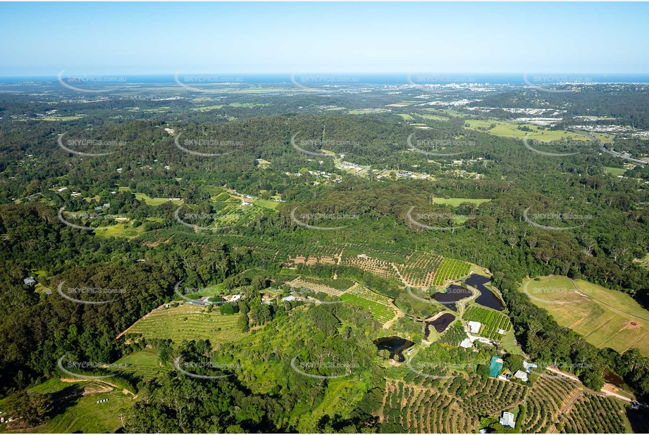 Aerial Photo Woombye QLD Aerial Photography