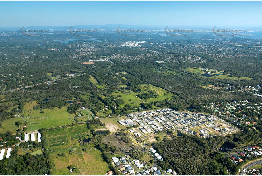 Aerial Photo Thornlands QLD Aerial Photography