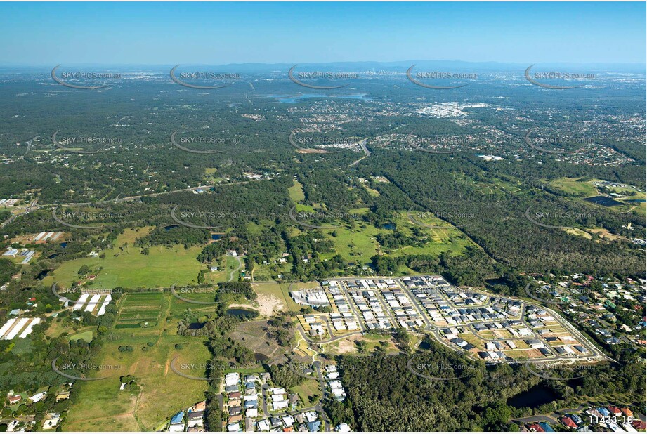 Aerial Photo Thornlands QLD Aerial Photography