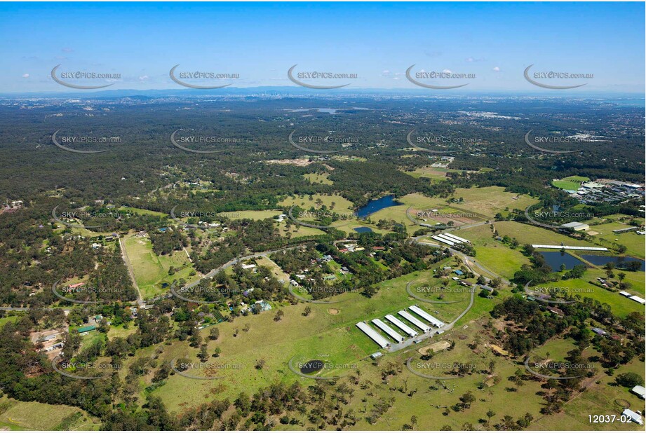 Aerial Photo Thornlands QLD Aerial Photography