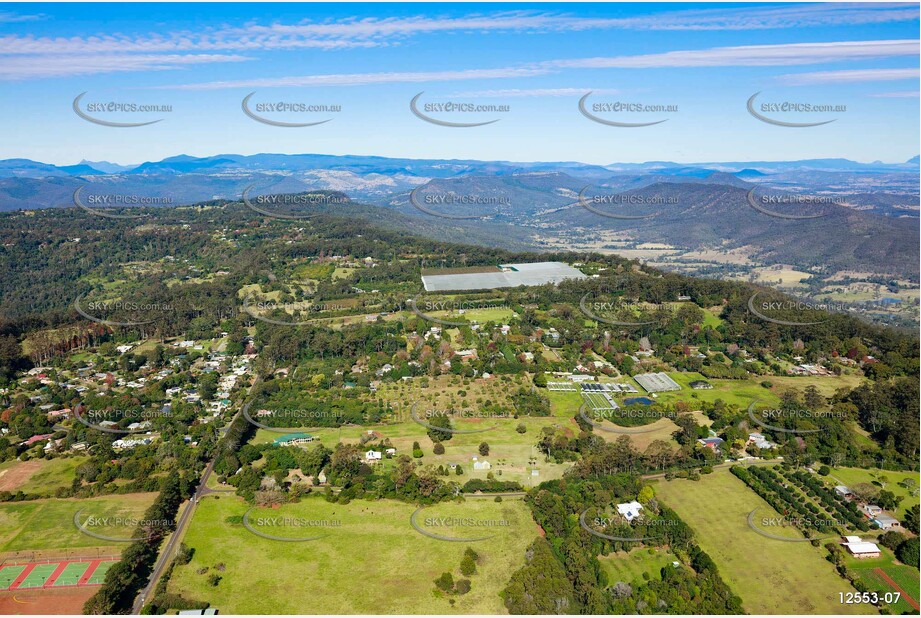 Aerial Photo Tamborine Mountain QLD 4272 QLD Aerial Photography