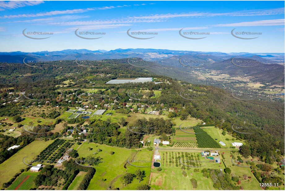 Aerial Photo Tamborine Mountain QLD 4272 QLD Aerial Photography