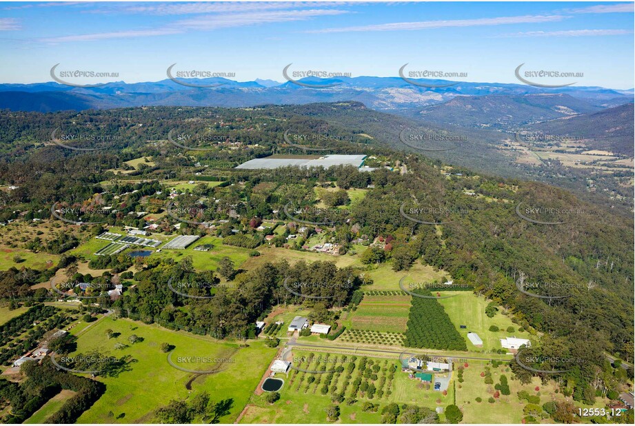 Aerial Photo Tamborine Mountain QLD 4272 QLD Aerial Photography