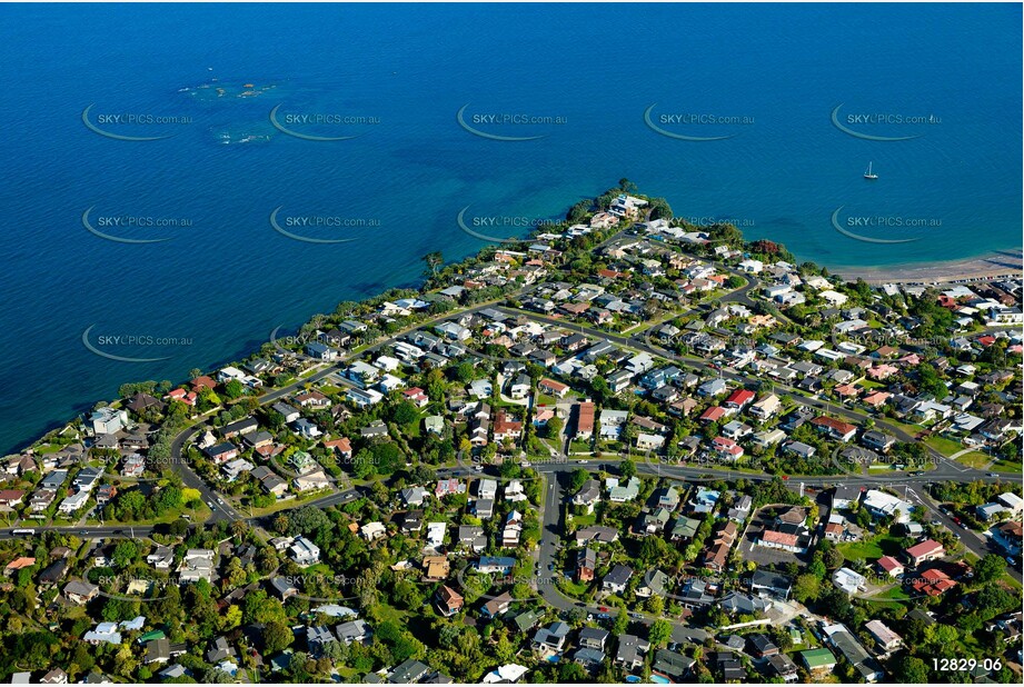 Aerial Photo Waiake Auckland NZ Aerial Photography