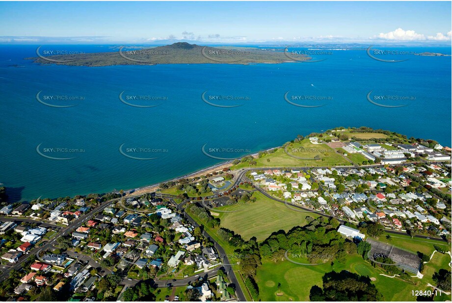 Aerial Photo Narrow Neck Auckland NZ Aerial Photography