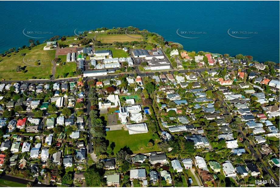 Aerial Photo Narrow Neck Auckland NZ Aerial Photography