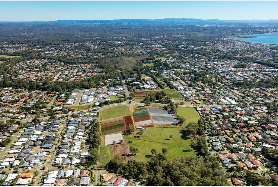 Aerial Photo Wellington Point QLD Aerial Photography