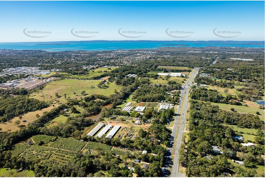 Aerial Photo Thornlands QLD Aerial Photography