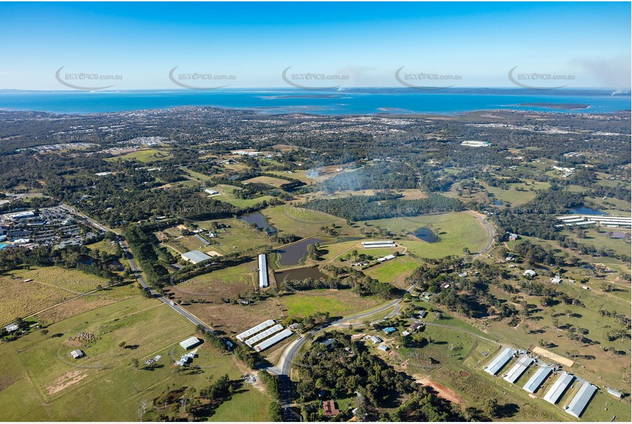 Aerial Photo Thornlands QLD Aerial Photography