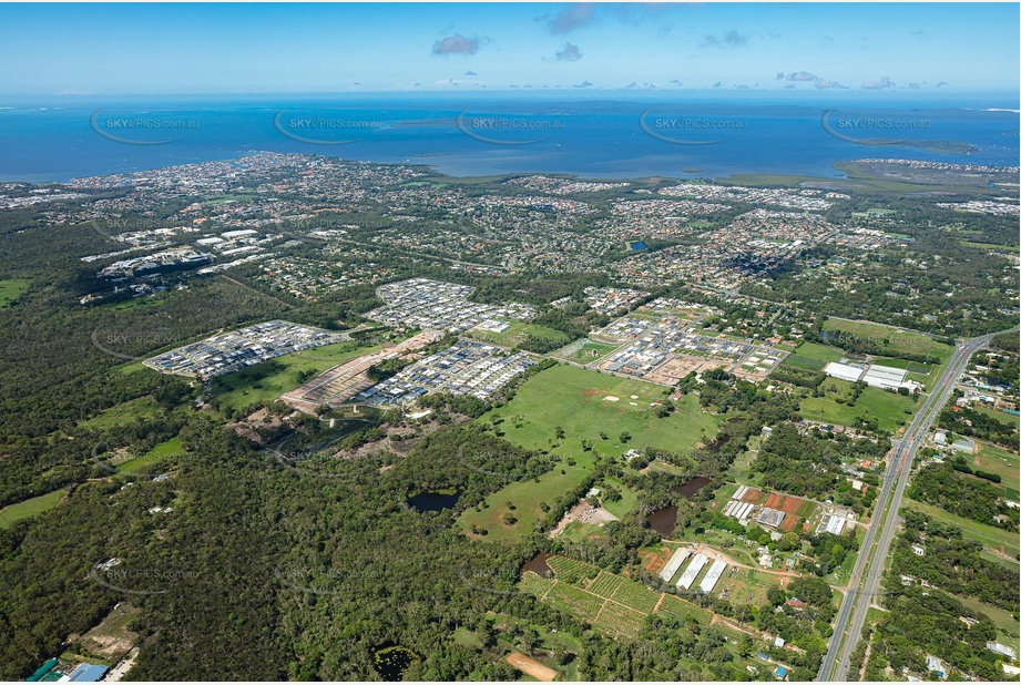 Aerial Photo Thornlands QLD Aerial Photography