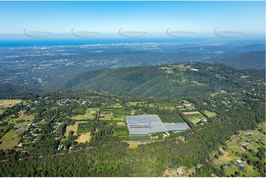 High Altitude Aerial Photo Tamborine Mountain QLD Aerial Photography