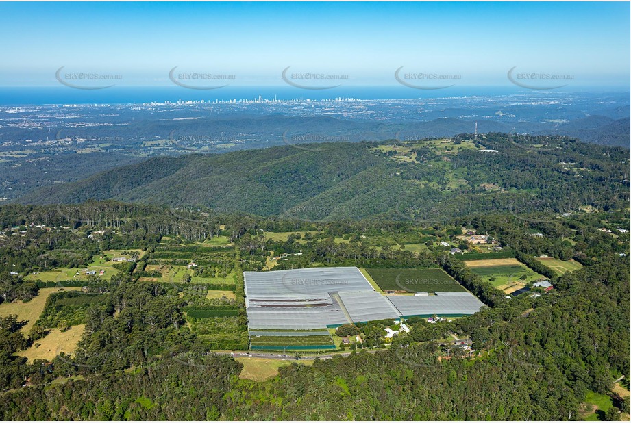 High Altitude Aerial Photo Tamborine Mountain QLD Aerial Photography