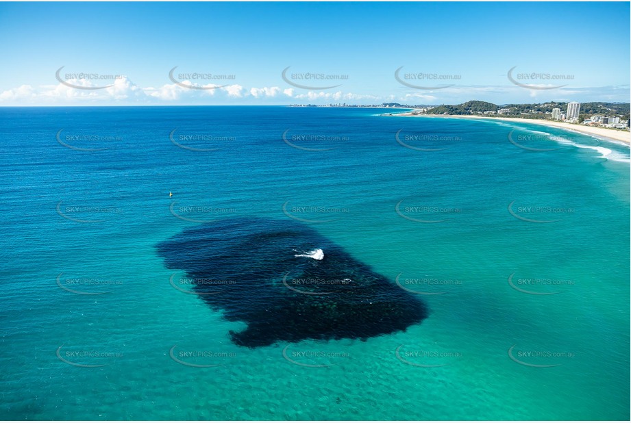 Aerial Photo Palm Beach Artificial Reef QLD Aerial Photography