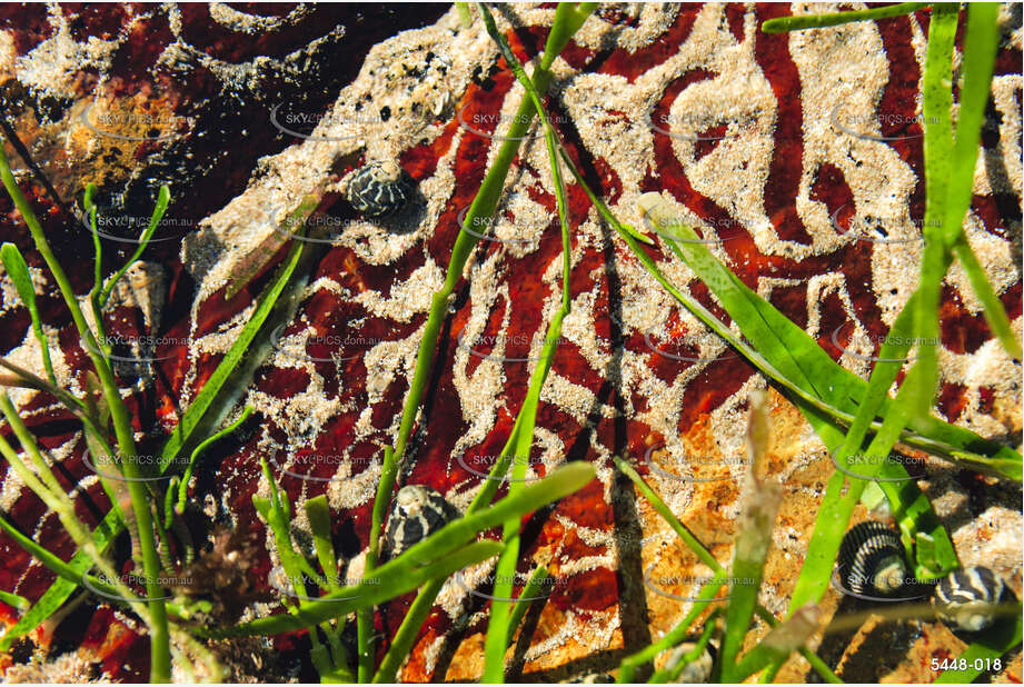 Rock Pool Patterns NSW Aerial Photography