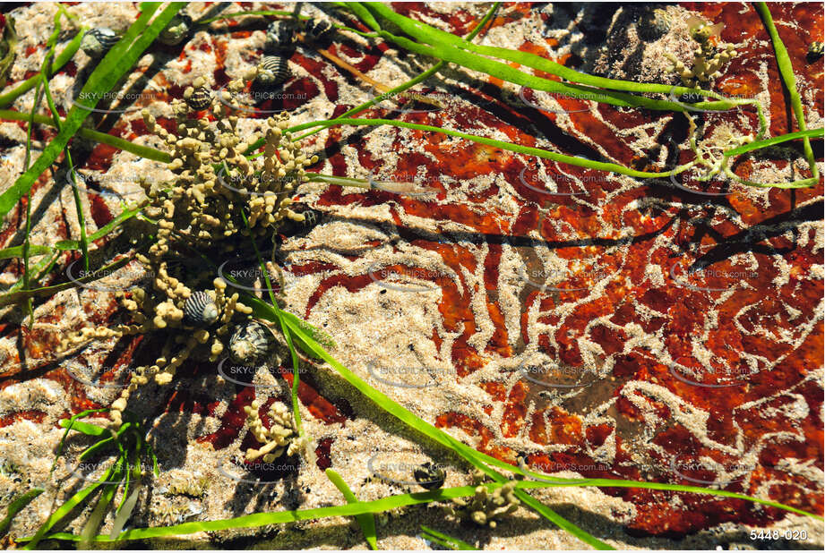 Rock Pool Patterns NSW Aerial Photography