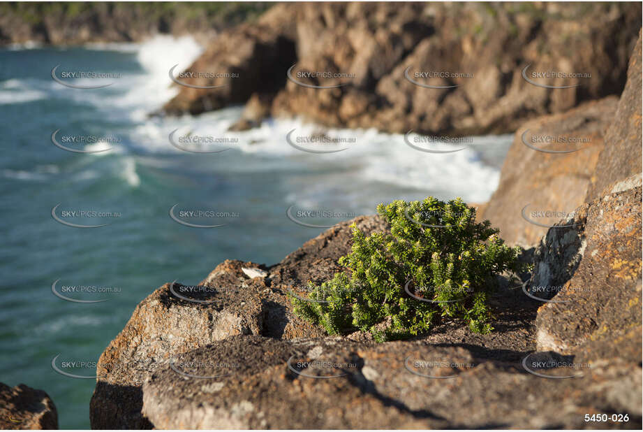 Clinging to Life NSW Aerial Photography