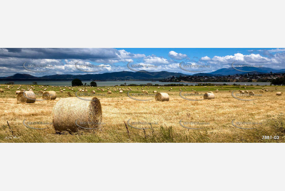 Round Hay Bales near Sorell, Tasmania Aerial Photography