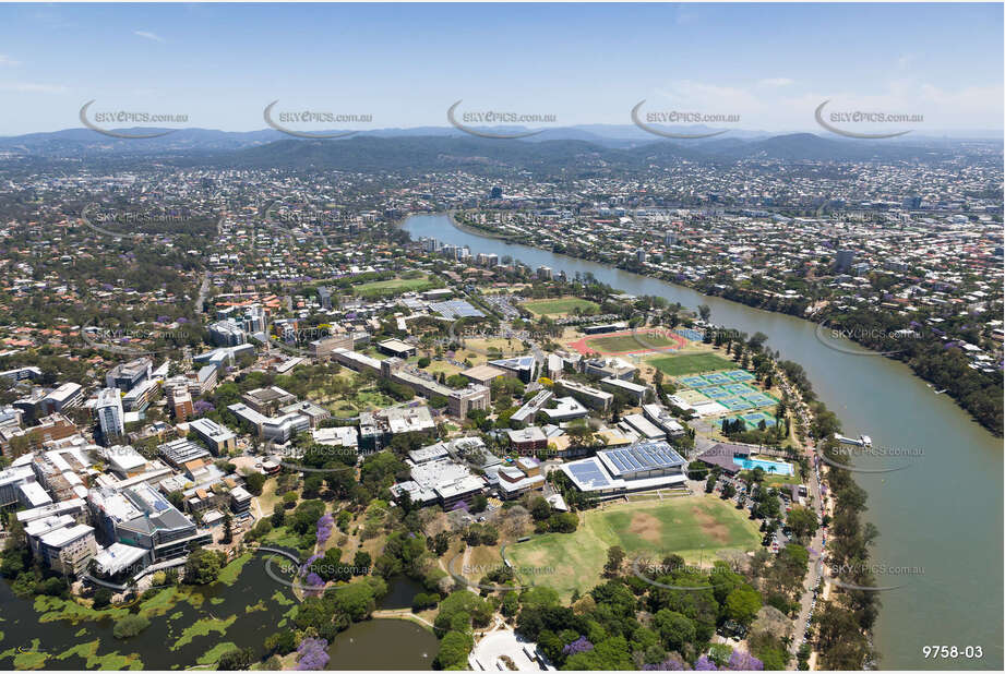 Aerial Photo The University of Queensland St Lucia QLD Aerial Photography