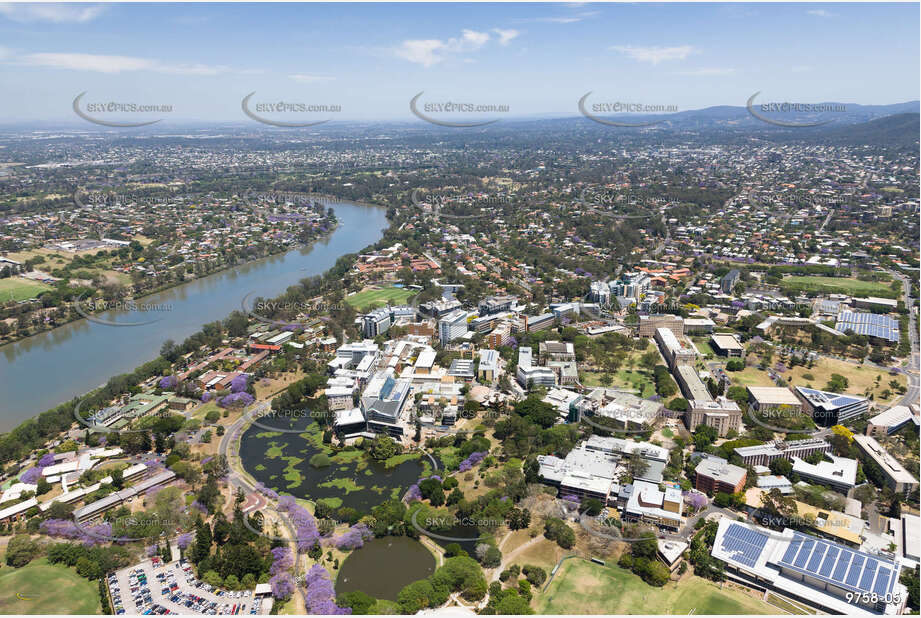 Aerial Photo The University of Queensland St Lucia QLD Aerial Photography